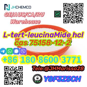 Promotional Price CAS 75158-12-2 L-tert-leucinaMide hydrochloride Threema: Y8F3Z5CH		